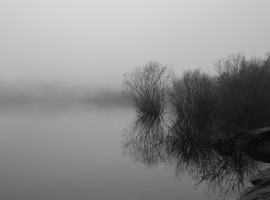 Forstsee__ARN2040_Arnold_Poeschl_32014