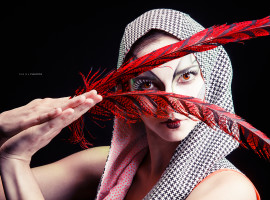 Circus Probeshooting 2014-02-14