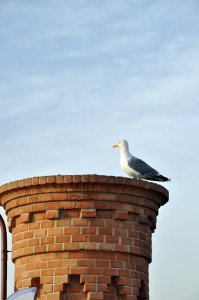 DSC_0136_LowRes