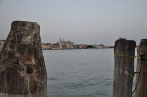 DSC_0174_LowRes