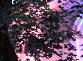 VerenaSophieMaier_ALLESNEUIMSÜDEN.AT_RelaunchpartyIMG_8154_LowRes