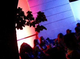 VerenaSophieMaier_ALLESNEUIMSÜDEN.AT_RelaunchpartyIMG_8251_LowRes