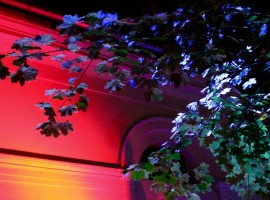 VerenaSophieMaier_ALLESNEUIMSÜDEN.AT_RelaunchpartyIMG_8274_LowRes