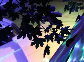 VerenaSophieMaier_ALLESNEUIMSÜDEN.AT_RelaunchpartyIMG_8304_LowRes
