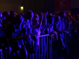 IMG_6913
