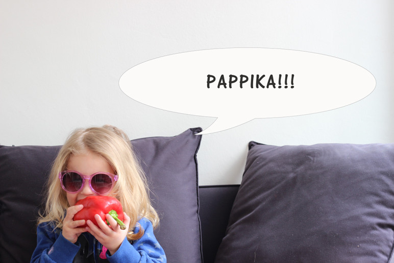 Papablog_Pappika