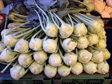 Frischer Kohlrabi aus Kärnten…