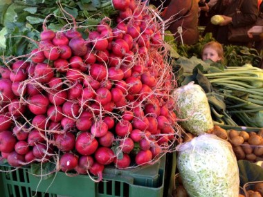 Knackige Radieschen aus Italien…