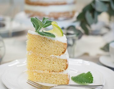 Naked Mojito Cake